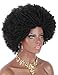 Kalyss Big Bouncy Full Thick Short Afro Kinky Curly Wigs for Women Lightweight Synthetic Hair Wigs 150% Density Natural Looking Fluffy Hair Replacement Wig