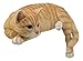 Ebros Lazy Days Lifelike Perching Orange Tabby Cat Shelf Sitter Statue 13.25