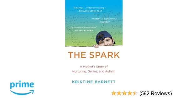 The Spark A Mothers Story Of Nurturing Genius And Autism - 
