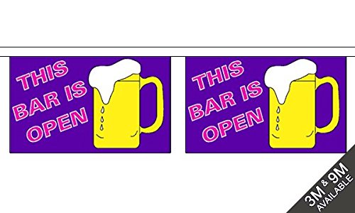 This Bar Is Open Horizontal Bunting 9m