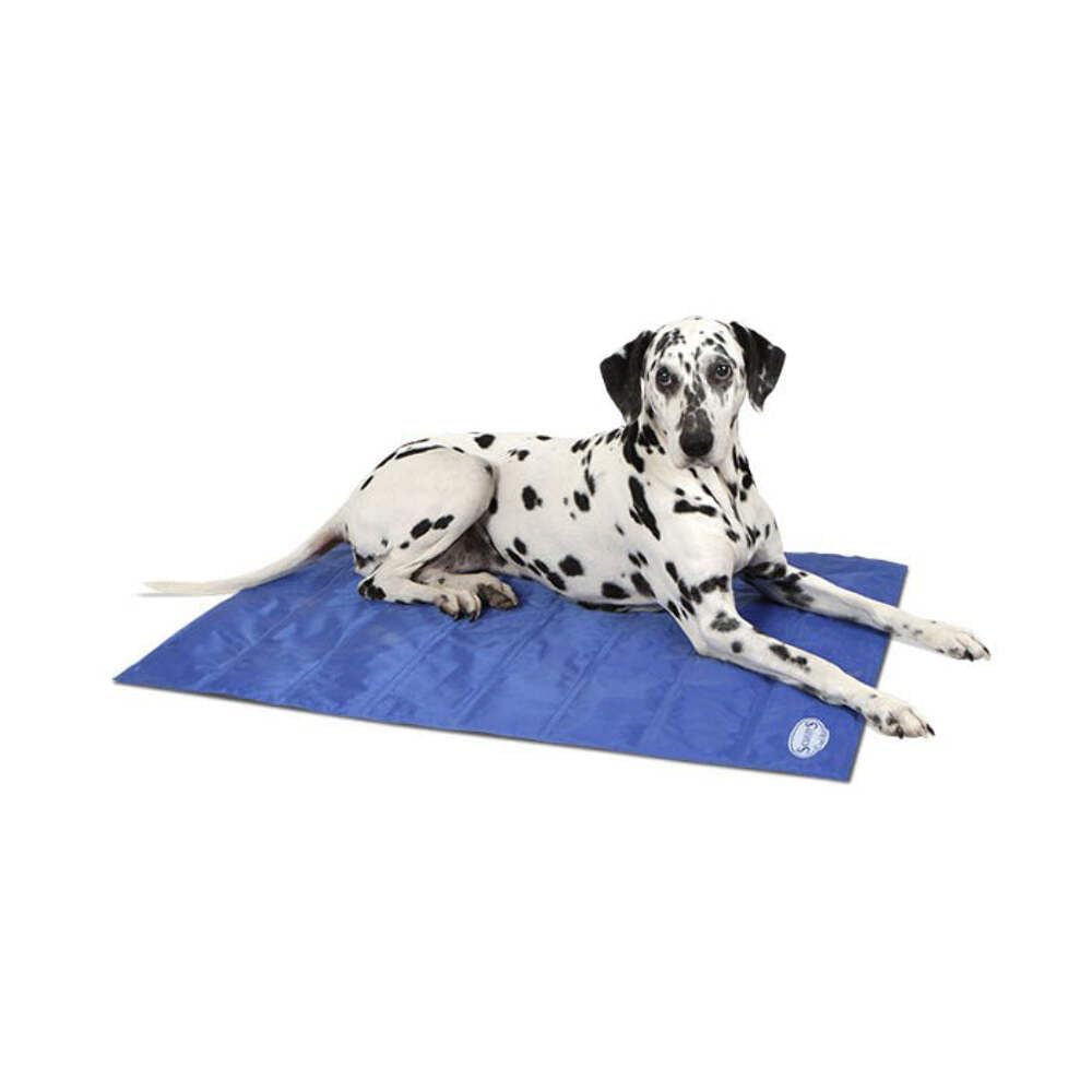 Scruffs Self-Cooling Mat (L) Blue