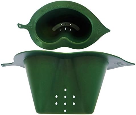 HYDROROOT Root Watering Vessel, Pack of 6