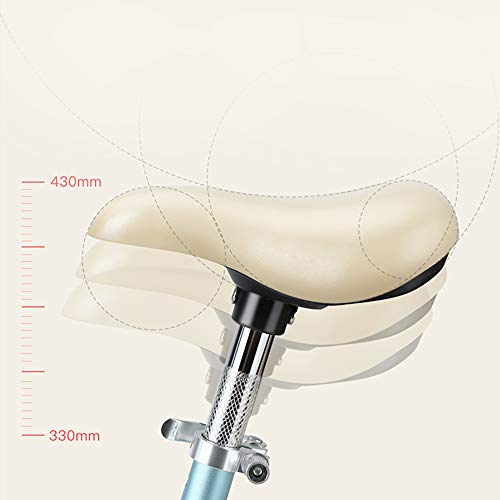 Balance Bike for Kids, 12 Inch No Pedal Kids Bicycle for 2-5 Years Old, Toddler Walking Bicycle, Adjustable Height, Anti-Vibration Structure, Made of Aluminium Alloy, Indoor Outdoor Activities
