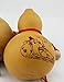 1 Piece wall decor Wine gourd-decanter planted by Chinese farmers with