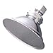 Kingston Brass P10C Designer Trimscape Victorian Brass Showerhead, Polished Chrome,4-7/8