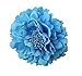 Kewl Fashion Women's Bohemia Peony Flowers Hairpin Hair Clip Flower Brooch (Blue #)