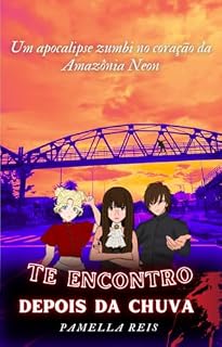 Livro Te Encontro Depois da Chuva Pamella Reis