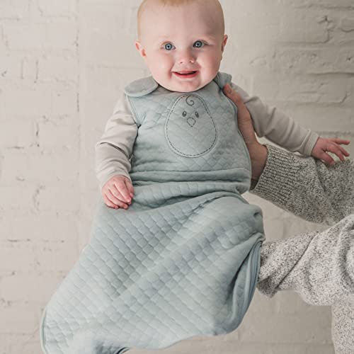 Nested Bean Zen Sack Quilted Gently Weighted Sleep Sack; Babies 615