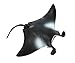 Safari Ltd. Manta Ray Figurine - Realistic 4