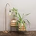 Seagrass Planter Basket | Decorative Woven Belly Basket | Picnic Basket or Indoor Storage for Blankets, Toys or Laundry, by Toma Design (Natural, Large)