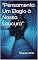 Livro "Pensamento: Um Elogio à Nossa Loucura"