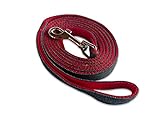 Dog Leash, Buddy & Co. Classic Denim & Nylon Pet Leash 6ft 5/8-inch - Fixed Lead - Ideal for Small to Medium Size Dogs