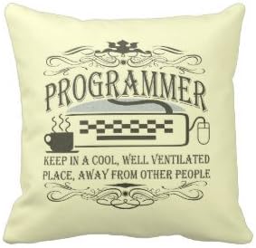 JGArtStore 18 X 18 Inch Cotton Linen Decorative Throw Pillow Cover Cushion Case Funny Programmer Pillow