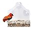 Gray Bunny Window Bird Feeder, Clear Premium Acrylic with Strong Suction Cups, Wide Seed Housing, Outdoor Birdfeeder for Attracting Wild Birds