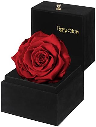 RoseStory|4" Red Rose Gift Box-Valentine's Day Gift, Anniversary Gift, Birthday Gift, Unique gift Idea for Her