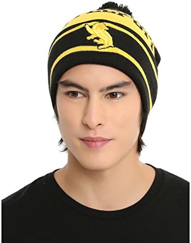 Harry Potter Pom Beanie | House Crest Collectors Edition (Gryffindor, Ravenclaw, Slytherin, Hufflepuff)