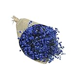 Euone Natural Dried Flower Baby's Breath Home Decor Natural Dried Flower Full Stars Gypsophila (E)