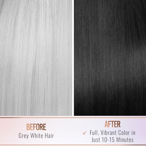 Herbishh Hair Color Shampoo For Gray Hair– Hair Dye Shampoo With Argan Hair Mask–Travel Size-Colors Hair In Minutes–Long Lasting Colour–10Pack+1Pack–Ammonia-Free (Black)