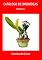 Livro Catálogo De Orquídeas