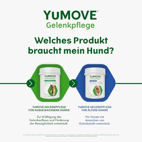 TESTSIEGER Gelenktabletten Hund 2–7 Jahre – 300 Tabletten ActivEase