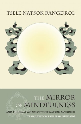 The Mirror of Mindfulness