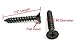 Bolt Dropper #6 x 1/2 Inch Wood Screws, Pack of 100 - Black Xylan Coated Stainless Steel Flat Head Phillips Screw - Corrosion Resistant for Wood, Drywall Applications, and Outdoor Use