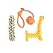 11 Piece Set Dog Puppy Chew Toys - Nearly Indestructible Toys For Dogs To Keep Them Busy and Free of Boredom - Includes Tough Long Lasting Canine Rope Toys, Bones, Rope Ball, and More