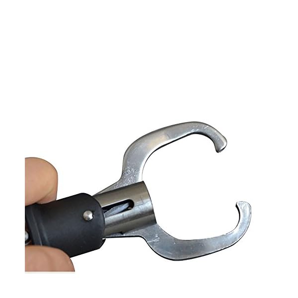 IFLYING-Portable-Stainless-Steel-Fish-Lip-Gripper-with-Weight-Scale-15KG-or-30lbs