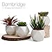 Bornbridge Artificial Succulent - Fake Succulent in Planter - Faux Succulent with Ceramic Geometric Planter - Artificial Potted Plant (1 Pack, Aloe)