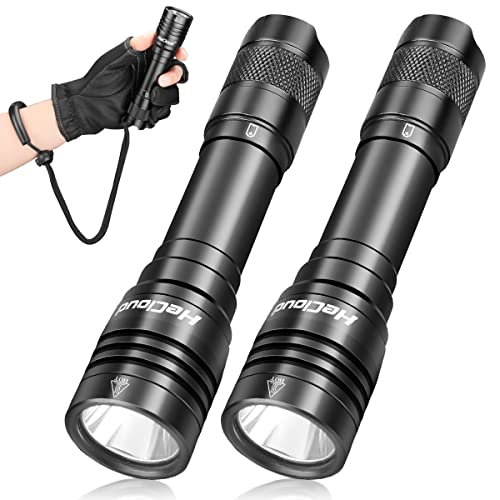 HECLOUD 2 Pack Scuba Diving Flashlight with Rechargeable Power Dive