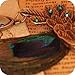 Campsis Boho Feather Pendant Necklace Bohemia Blue Peacock Necklaces Crystal Indiana Chain Jewelry for Women and Girls