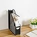 DESIGNA Metal Wire Desktop Mesh Magazine Holder, Office Desk Standing File Organizer Vertical, Black