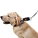SCENEREAL Martingale Collars for Dogs Heavy Duty Large Dog Training Collar for Walking Hiking Running
