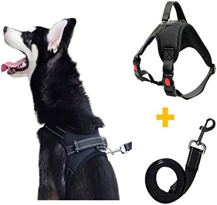 Pawya Dog Harness and Leash Set Heavy Duty No Pull Adjustable 3M Reflective Oxford Material Vest Harness Easy Control for Large Medium Small Dogs Training Hiking Walking Pet Harness