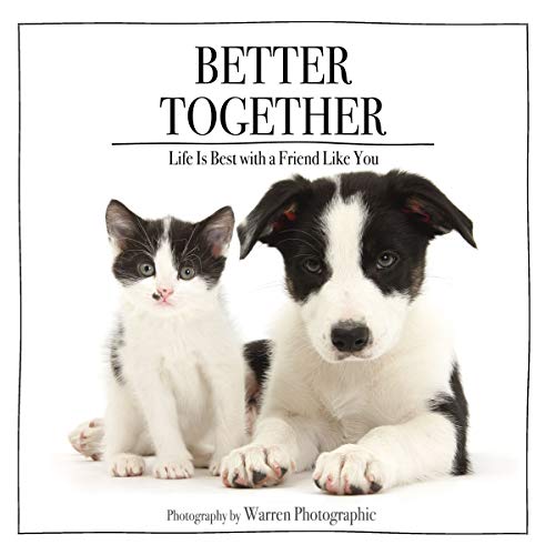 Better Together: Life Is Best with a Friend Like You by Zondervan