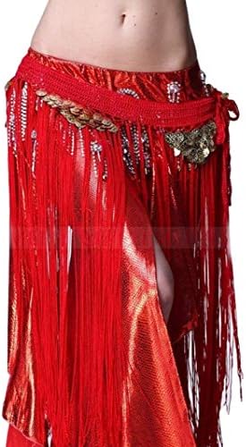 Egyptian Bellydance Long Tassel Hip Scarf Belt with Coins