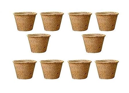 COIRGARDEN Coir 6 inch Pot - 10 Nos, Coco Basket for Gardening Plants & Flowers, Planters