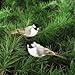 Gallerie II Chickadee Birds Clip Christmas Xmas Ornament Assortment of 2 A/2 Multi
