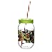 Zak Designs Teenage Mutant Ninja Turtles 19 oz. Canning Jar Tumbler, Ninja Turtles