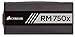 CORSAIR RMX Series, RM750x, 750 Watt, 80+ Gold , Fully Modular Power Supply (Renewed)