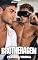 Livro Brotheragem: Parceria Virtual