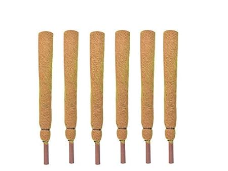 COIR GARDEN Coco Pole Coir Moss Stick 2 Feet Length, 60 cm, 6 Pieces for Money Plant Support, Indoor Plants, House Plants and Plant Creepers