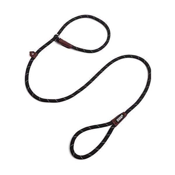 friends forever leash