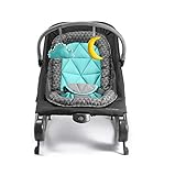 summer infant 2 in 1 bouncer