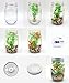 AriesTech Light-up Aquarium Kit with LED Light on Mason Jar Lid DIY Your Own Customized Mini Marine Ecosystem in a Jar with Sea Creatures, Great Science Kits Gifts for Childrens | Kids Toys