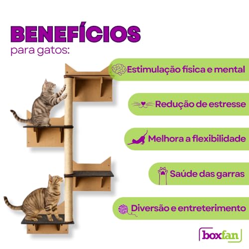 BOXFAN Playground para Gatos com Escalada, Arranhador Gato Sisal, Escada e Prateleira Antiderrapante Diversão Poleiros para Gatos Filhotes e Adultos Brinquedo Interativo