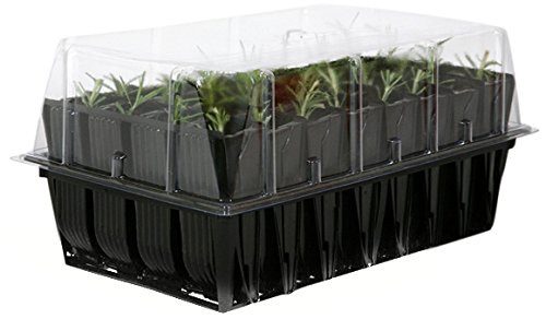 Haxnicks 12 cm Rootrainers Set (Pack of 2)