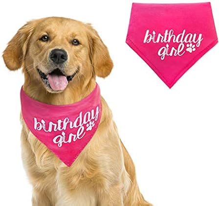 birthday girl bandana dog