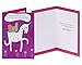 American Greetings Premium Kids Birthday Greeting Card Collection, 8-Count