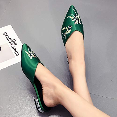 image for GHrcvdhw Women Shoes Stylish Cozy Cloth Fabric Embroidery Flower Slipp